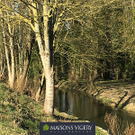 maisons-vigery-terrains-meung-sur-loire-2-grand